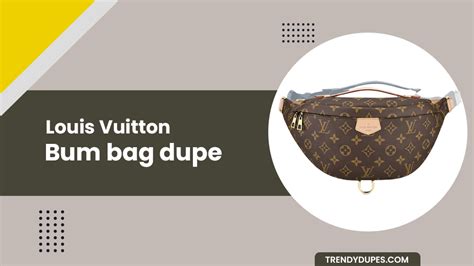 louis vuitton bum bag dupe|louis vuitton coin pouch dupe.